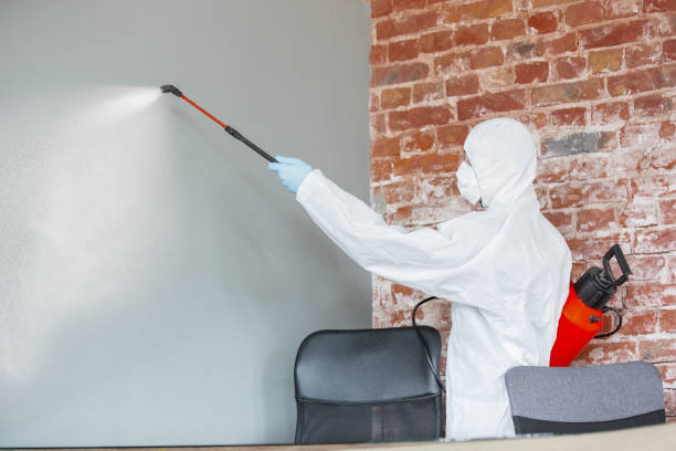 Best Mold-Related Health Consultation  in Ralston, NE