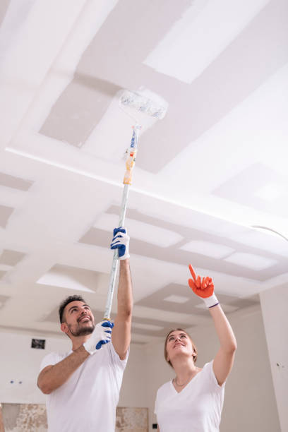 Best Biohazard Mold Removal  in Ralston, NE