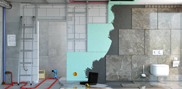 Best Mold Documentation for Insurance Claims  in Ralston, NE