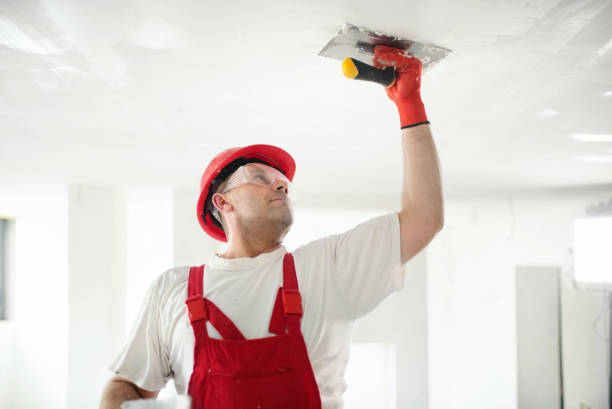 Best Mold Prevention Services  in Ralston, NE