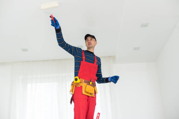Trusted Ralston, NE Mold Removal Experts