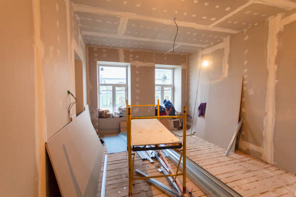 Best Industrial Mold Remediation  in Ralston, NE